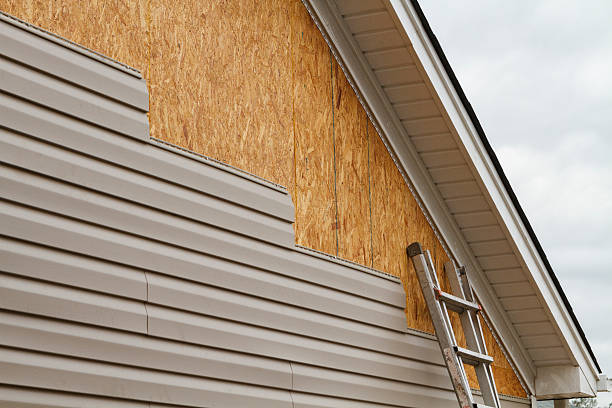 Professional Vinyl Siding technician working in Valrico, FL